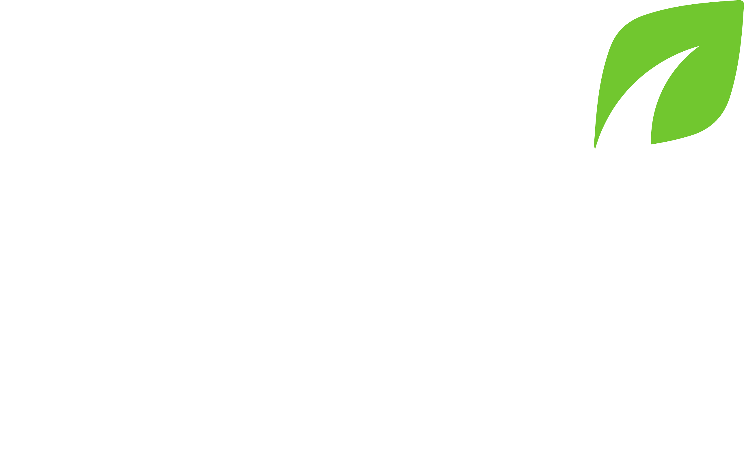 Grupo NIP